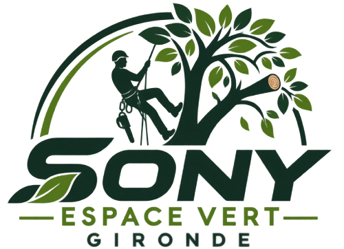 logo Sony Espace Vert